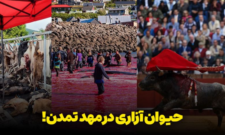 حیوان آزاری در اروپا