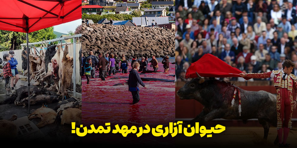 حیوان آزاری در غرب؛ ریاکاری عجیبی چشمرنگیها با حقوق حیوانات! 2 حیوان آزاری در اروپا